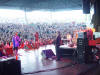 Viewing The Croud